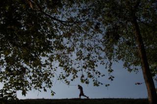 NordicTrack avis : forces et limites de la marque